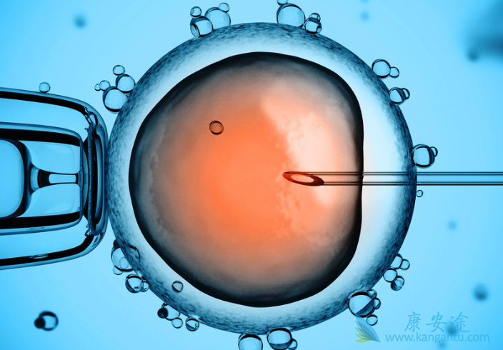 试管婴儿技术 试管婴儿技术