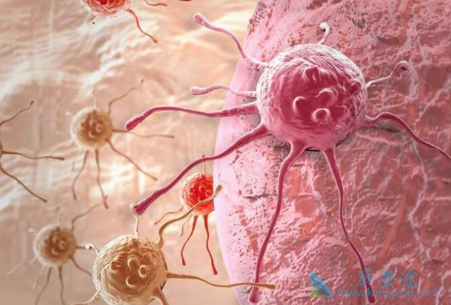 癌症的早期症状 癌症的早期症状