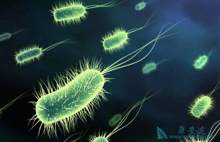 如何预防癌症 如何预防癌症