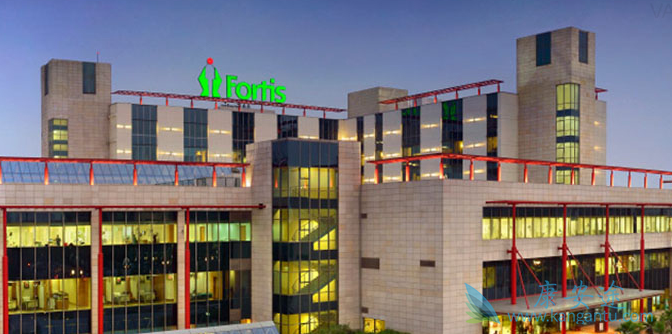 ҽ������