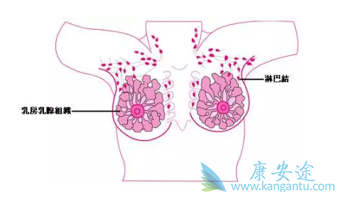 乳腺癌症状 乳腺癌症状