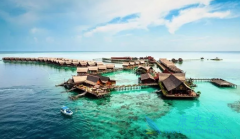 ��������ҽ��������Ҫ����������˽��ҽԺ