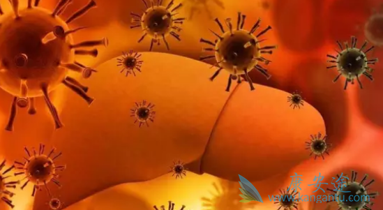 丙型肝炎 丙型肝炎