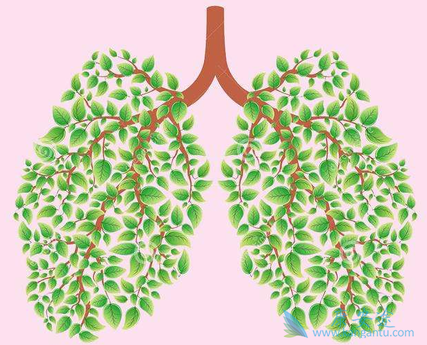 肺癌化疗方案 肺癌化疗方案