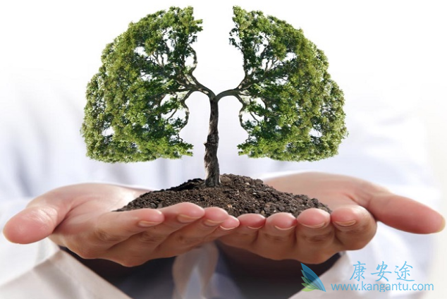 非小细胞肺癌 非小细胞肺癌