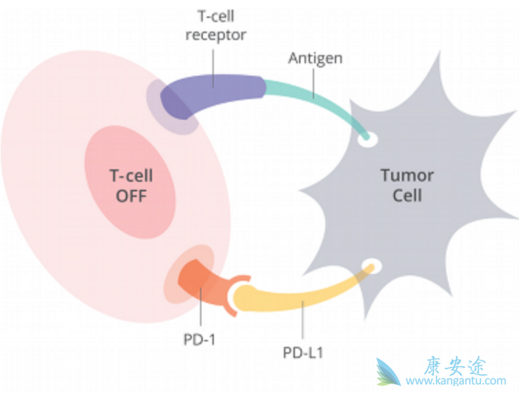 1526885037379583.png blob.png