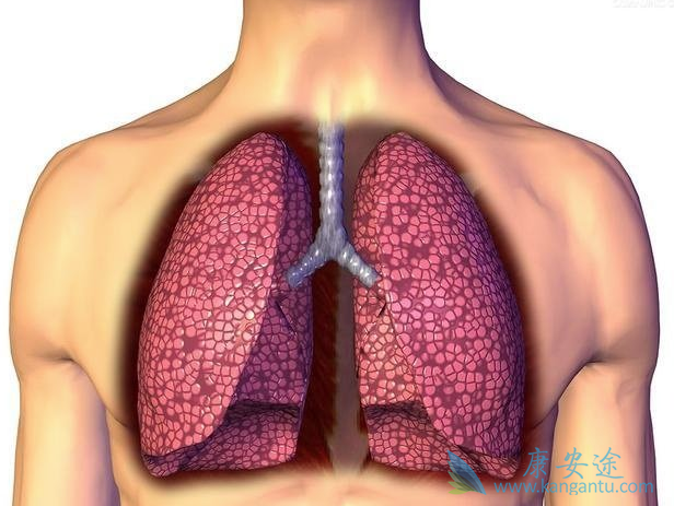 肺癌的症状 肺癌的症状