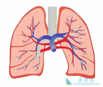 ���ڷΰ���õ����Ʒ������ݻ��߲�����ѡ��