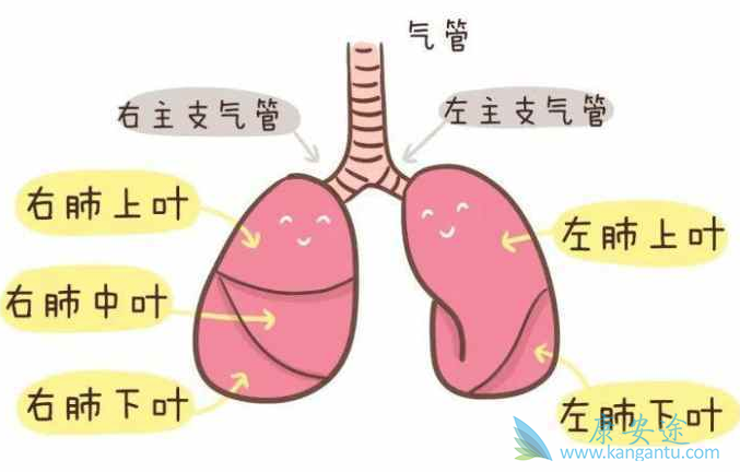 肺癌最好的治疗方法 肺癌最好的治疗方法