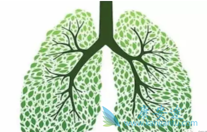 肺癌化疗 肺癌化疗