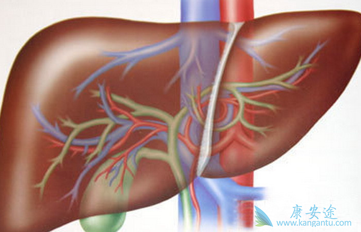 什么是丙肝 什么是丙肝