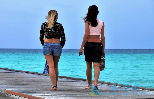 ҽ������