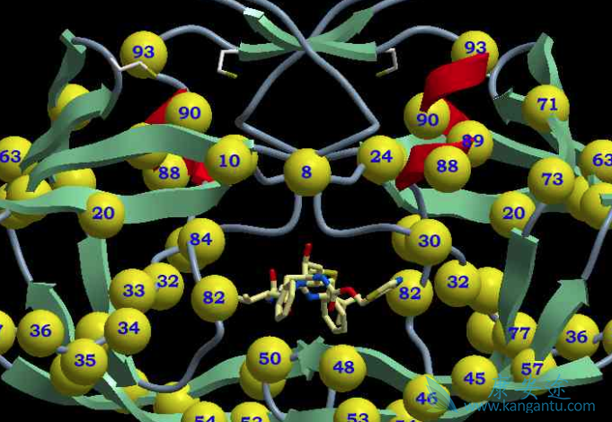 北京丙肝治疗医院 北京丙肝治疗医院