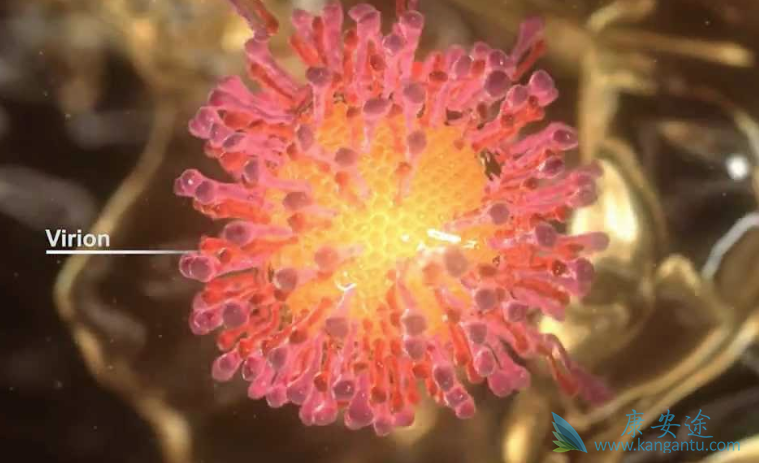 丙肝治疗需要多少钱 丙肝治疗需要多少钱