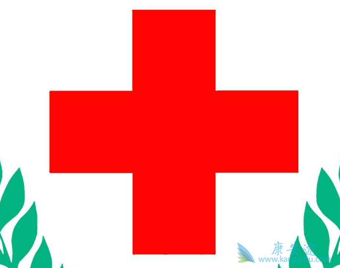 ҽ������