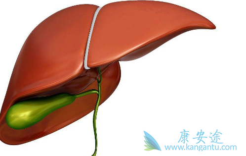 丙肝的主要症状 丙肝的主要症状