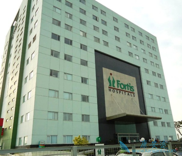 ҽ������