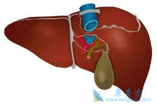 丙肝临床症状 丙肝临床症状