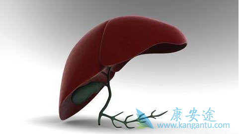 丙肝窗口期 丙肝窗口期