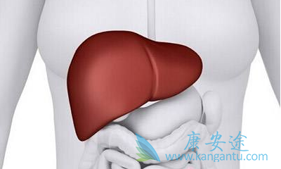 战胜乙肝 战胜乙肝