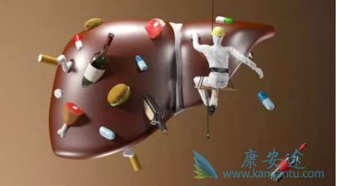 乙肝两对半 乙肝两对半