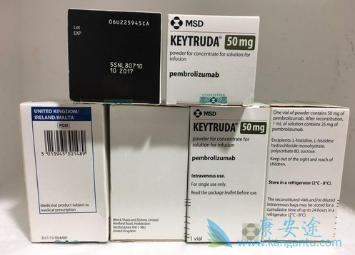 PD-1抑制剂 PD-1抑制剂