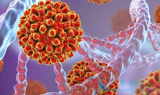 什么是乙肝病毒携带者 什么是乙肝病毒携带者