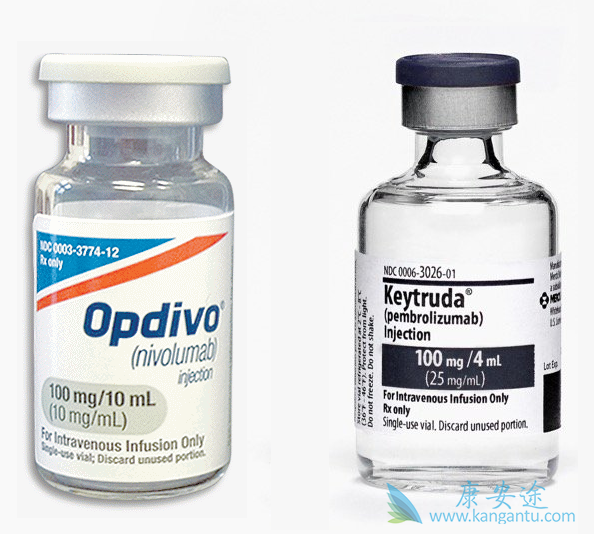 PD-1抑制剂 PD-1抑制剂