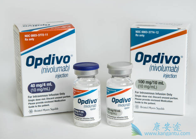 PD-1抑制剂 PD-1抑制剂