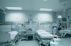 ��Щ�����ʺϳ�����������Щ�����ʺϳ����������ƣ�