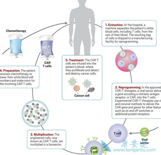 CAR-T CAR-T
