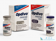 PD-1���Ƽ�Opdivo������������չ�������õ���Ч