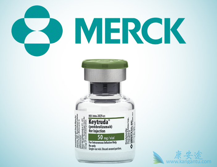 PD-1抑制剂 PD-1抑制剂