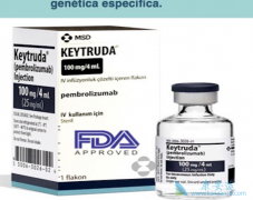 ʲô��PD-1��PD-1�����Ʒ�Ч����Σ�