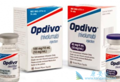 ʲô��PD-1���Ƽ��Լ�����Ӧ��PD-1���Ƽ��ĸ�����