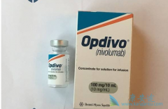 PD-1���Ƽ�����׼����ʮ���ְ�֢�����ڵĶ���������