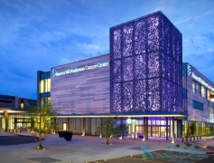 ����ѡ�����������ԭ������Щ��ΪʲôҪ����������