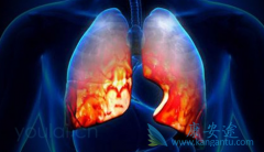 ���������Ʒ�Сϸ���ΰ����κ���