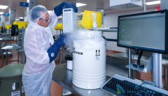 CAR-Tϸ�����Ʊ���Ϊ������ǰ�����������Ʒ���֮һ