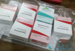 �����ᣨSTIVARGA����������漰���������ͽ�չ�����еĶ��ּ�ø