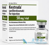 ת���Ժ�ɫ��������ͣ����ķ������pembrolizumab�����ܻ�����