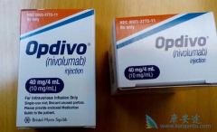 PD-1���Ƽ����䵥�����ƿ��г���NSCLC�ɻ�������Ĳ���ѧ����