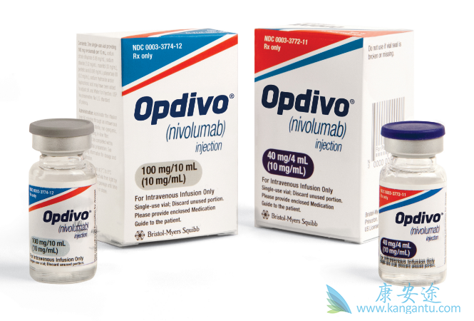 nivolumab nivolumab