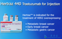 ����͡����׼�����������ٰ��ķ�չ����