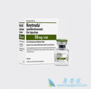 ���ڷ�Сϸ���ΰ����߿���ʹ��PD-1���Ƽ�Keytruda������