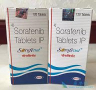 �༪�����������ᣩ���������Ƹΰ�Ψһѡ��