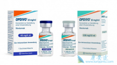 PD-1���Ƽ�Opivo�����˸ΰ����ߵ���ʱ��