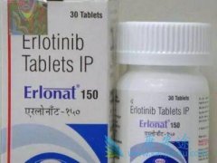 ӡ�����޿����������ᣩ���ư������׵�ԭ����ʲô