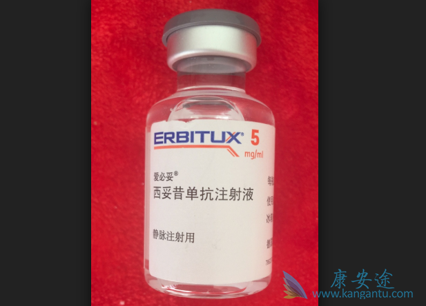 西妥昔单抗 西妥昔单抗