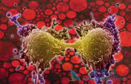 海外医疗 海外医疗